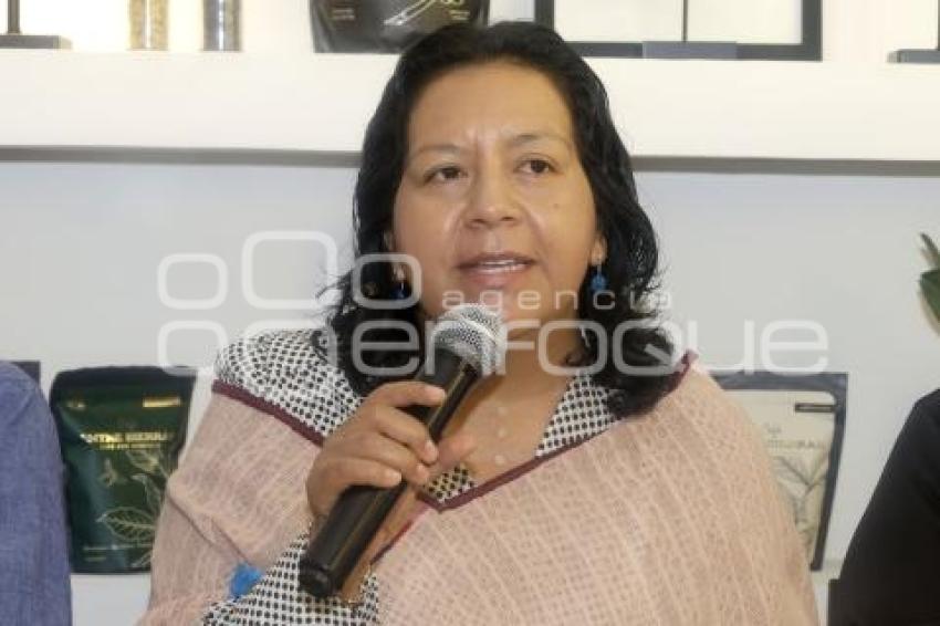 ANA LAURA ALTAMIRANO