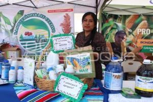 HUAQUECHULA . FERIA AGROGANADERA