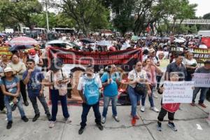 MANIFESTACIÓN . 28 DE OCTUBRE