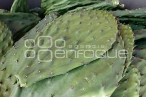 SAN ANDRÉS CHOLULA . FERIA DEL NOPAL 2025