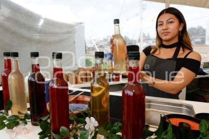 SAN ANDRÉS CHOLULA . FERIA DEL NOPAL 2025