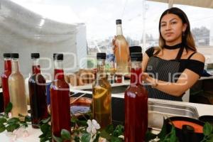 SAN ANDRÉS CHOLULA . FERIA DEL NOPAL 2025