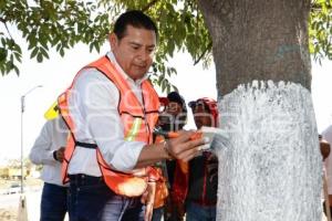 ALEJANDRO ARMENTA