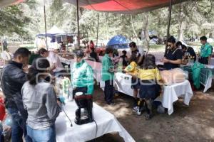 AXOLOFEST