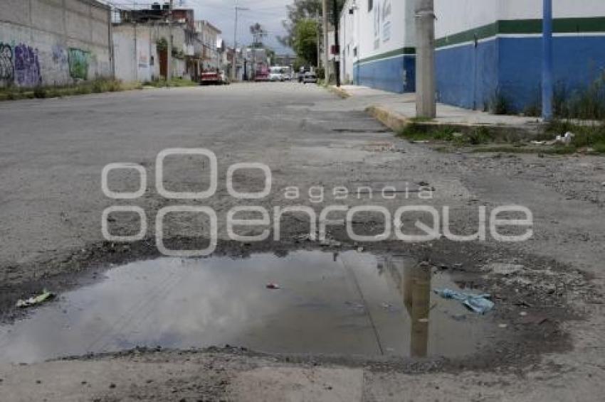 BACHES