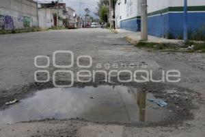 BACHES