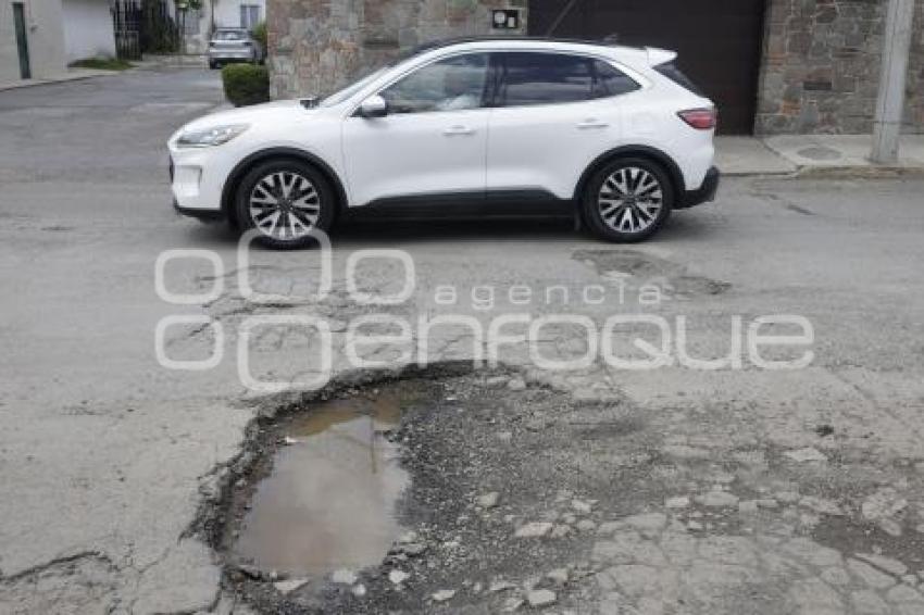 BACHES