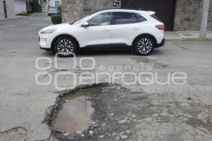 BACHES
