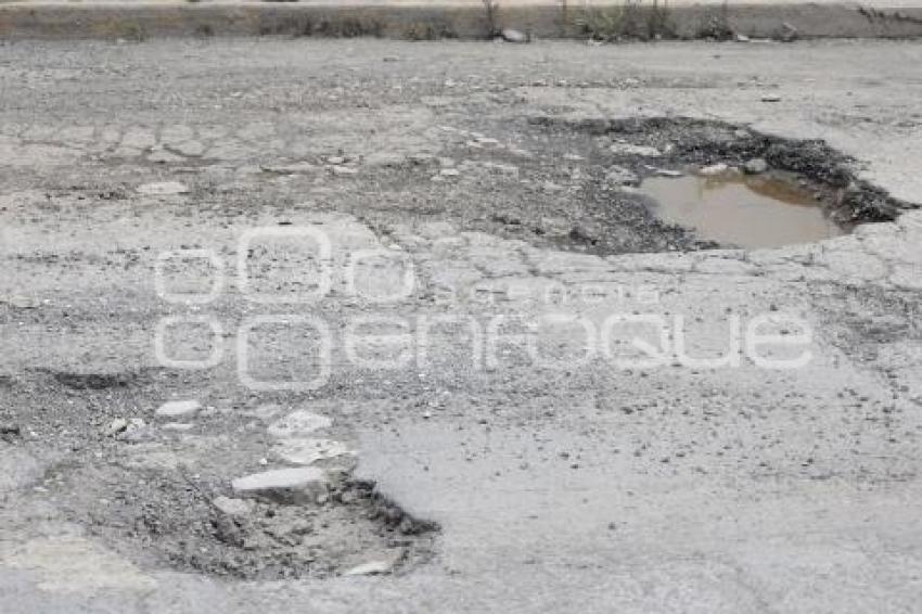 BACHES
