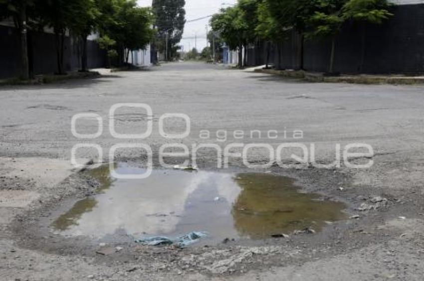 BACHES