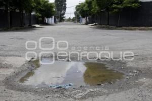 BACHES