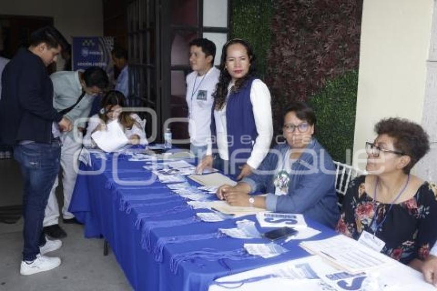 PAN . ELECCIÓN ACCIÓN JUVENIL