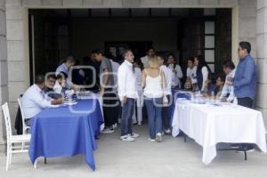 PAN . ELECCIÓN ACCIÓN JUVENIL