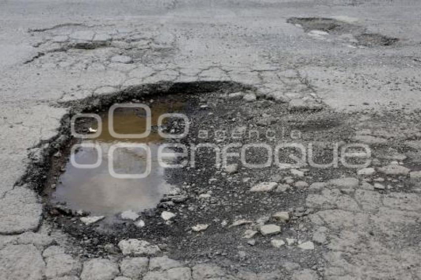 BACHES