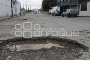 BACHES