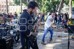 FESTIVAL NOISELESS