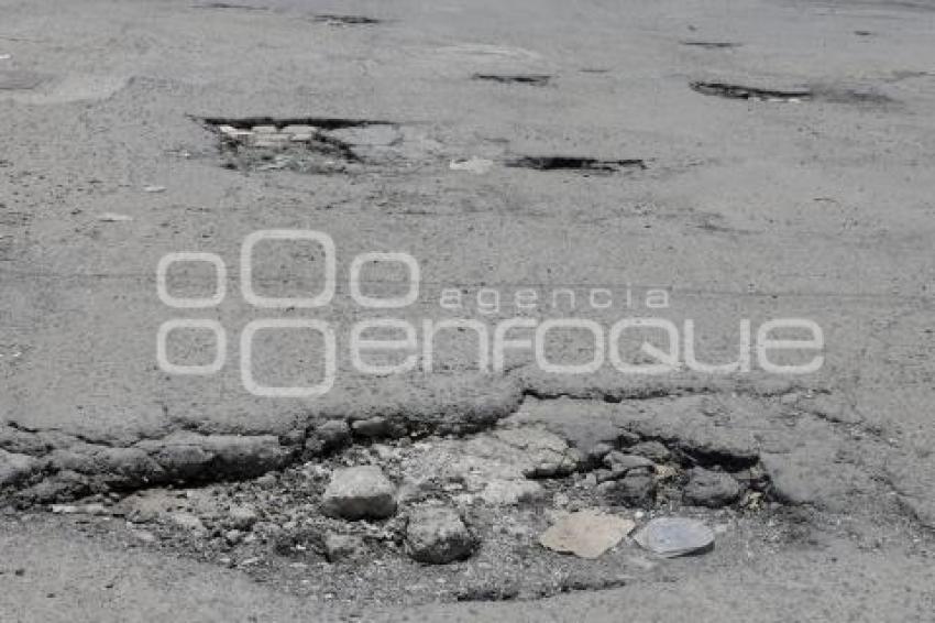 BACHES