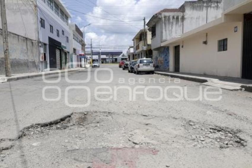 BACHES