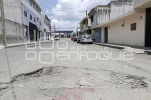 BACHES