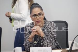 COMISIÓN DE PROCURACIÓN DE JUSTICIA