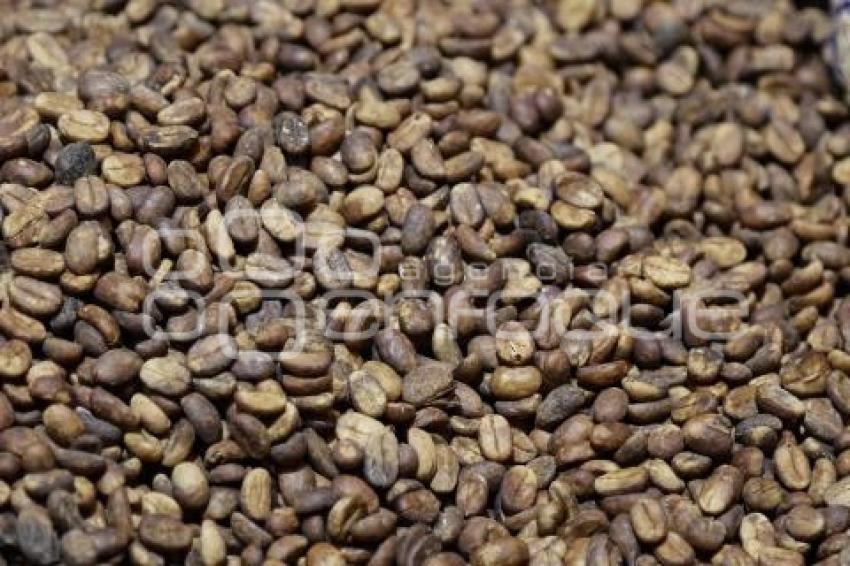 GOBIERNO ESTATAL . CONCAFÉ 2025