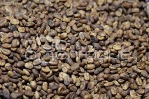 GOBIERNO ESTATAL . CONCAFÉ 2025
