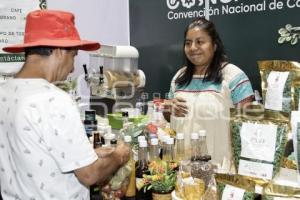GOBIERNO ESTATAL . CONCAFÉ 2025