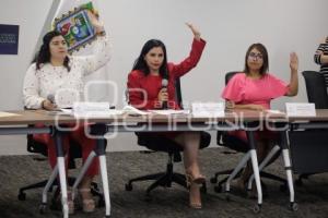 COMISIÓN DE IGUALDAD DE GÉNERO