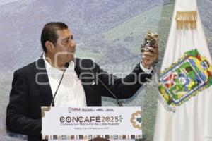 ALEJANDRO ARMENTA