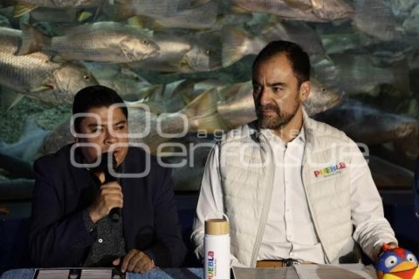 AYUNTAMIENTO . NOCHE DE MUSEOS