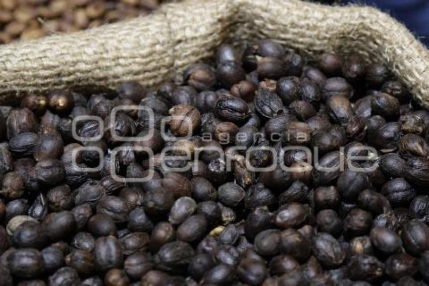 GOBIERNO ESTATAL . CONCAFÉ 2025