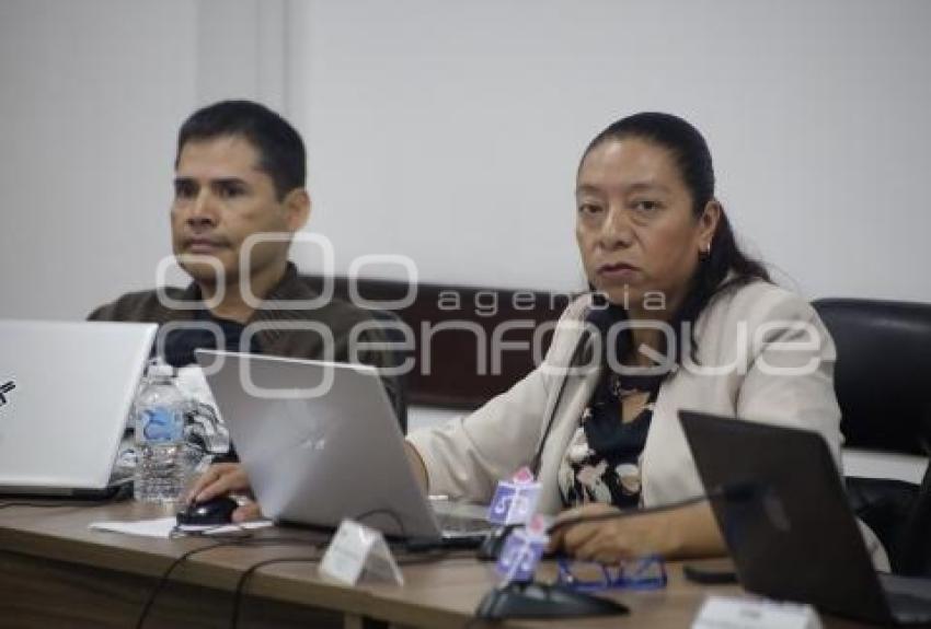 INE . CONSEJO LOCAL