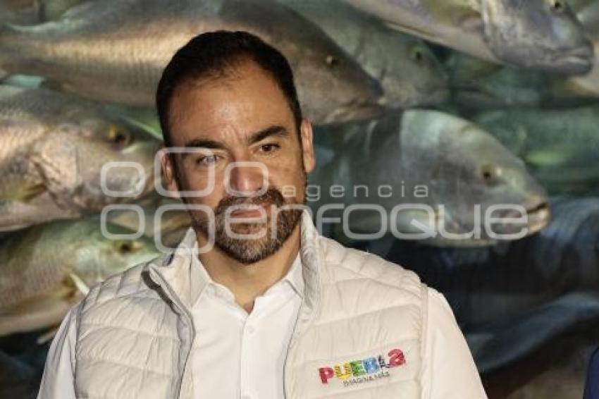 JAIME OROPEZA CASAS