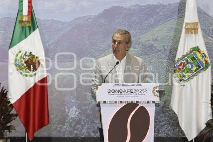 JOSÉ CHEDRAUI