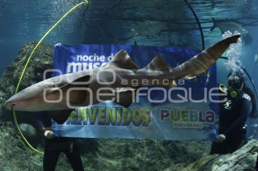 AYUNTAMIENTO . NOCHE DE MUSEOS