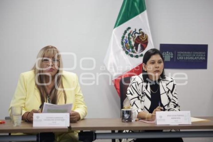 COMISIÓN DE IGUALDAD DE GÉNERO