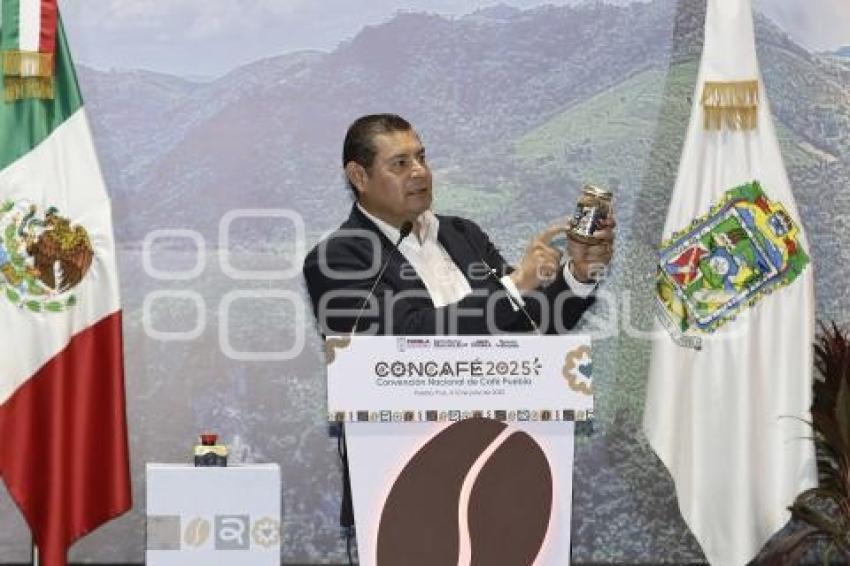 ALEJANDRO ARMENTA