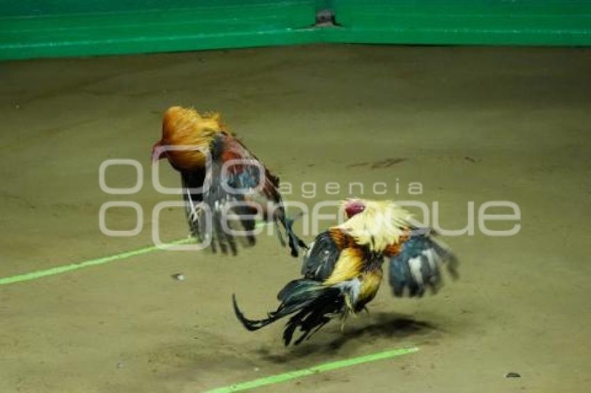 TLAXCALA . DERBY INTERCONTINENTAL