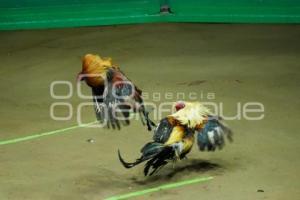 TLAXCALA . DERBY INTERCONTINENTAL