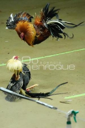 TLAXCALA . DERBY INTERCONTINENTAL