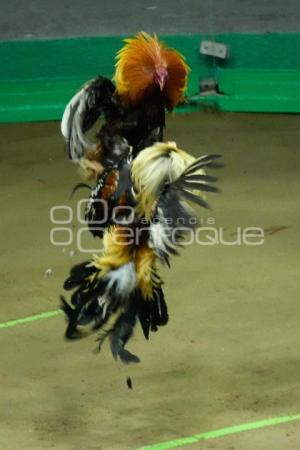 TLAXCALA . DERBY INTERCONTINENTAL