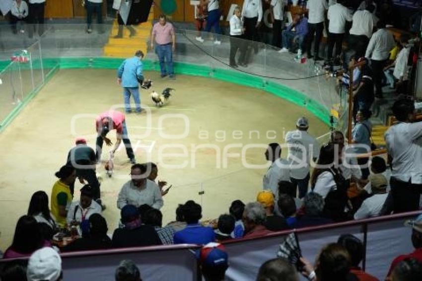 TLAXCALA . DERBY INTERCONTINENTAL