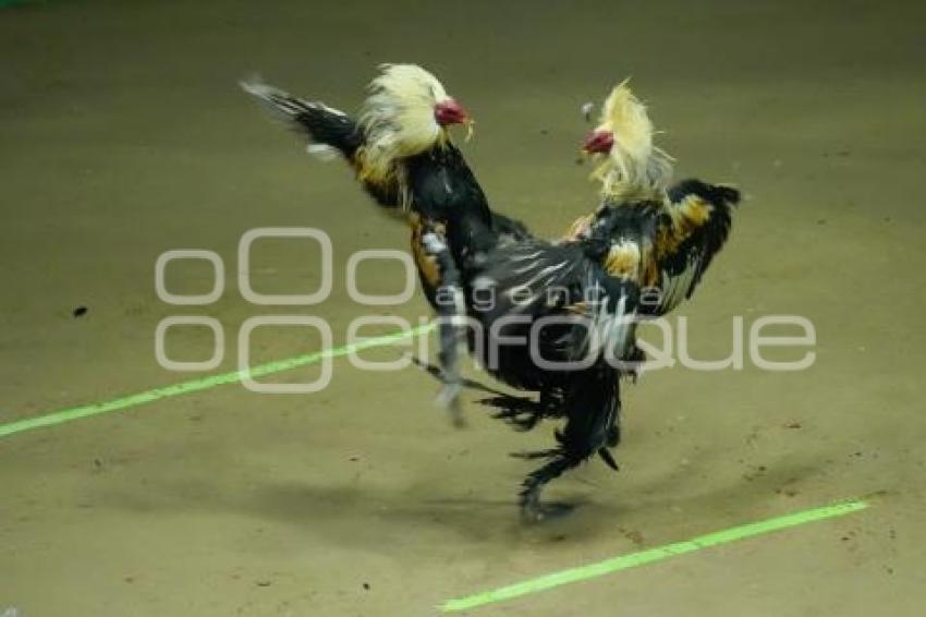 TLAXCALA . DERBY INTERCONTINENTAL
