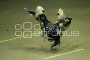 TLAXCALA . DERBY INTERCONTINENTAL