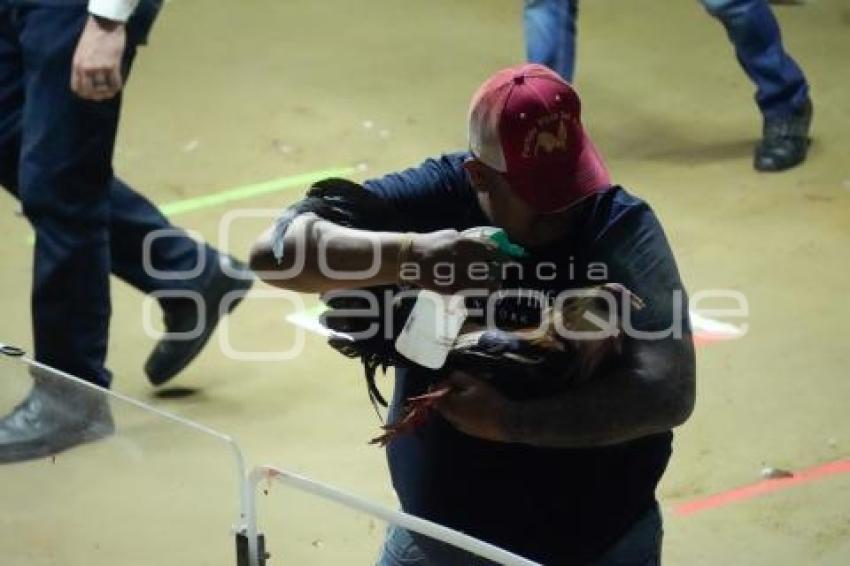 TLAXCALA . DERBY INTERCONTINENTAL