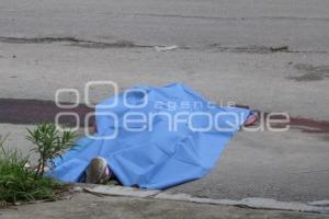 MUJER ATROPELLADA