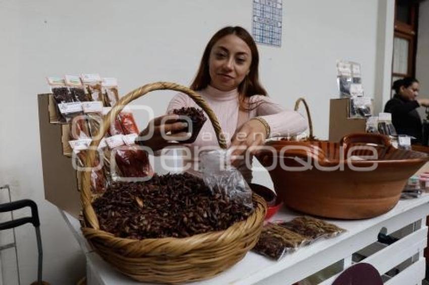 PABELLÓN POR AMOR AL CAMPO