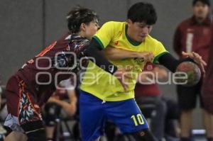JUEGOS NACIONALES ESCOLARES . HANDBALL