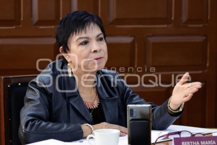 BERTHA MARÍA DE LOURDES VILLAVICENCIO