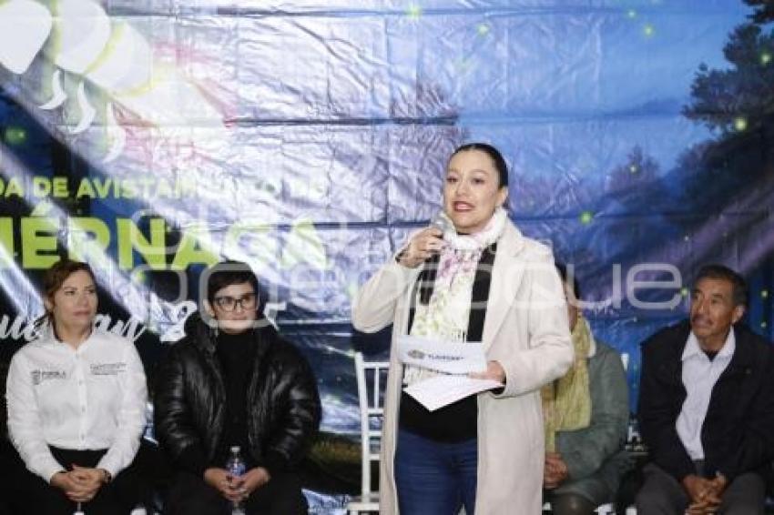 SANTA RITA TLAHUAPAN . LUCIÉRNAGAS